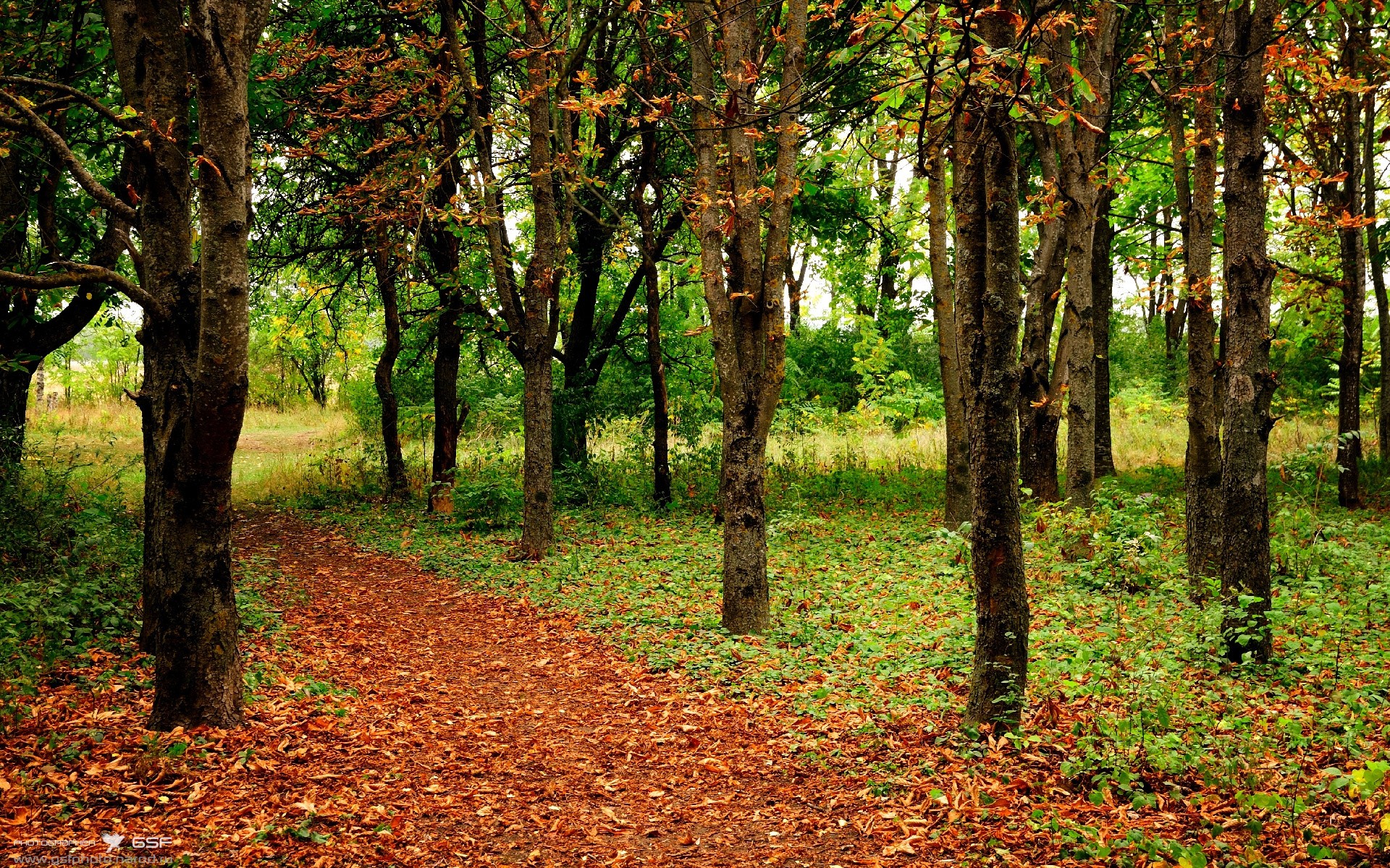 爱游戏下载-烈焰黄鸭，日本连败魔咒终结者，王懿律黄东萍带火一片天