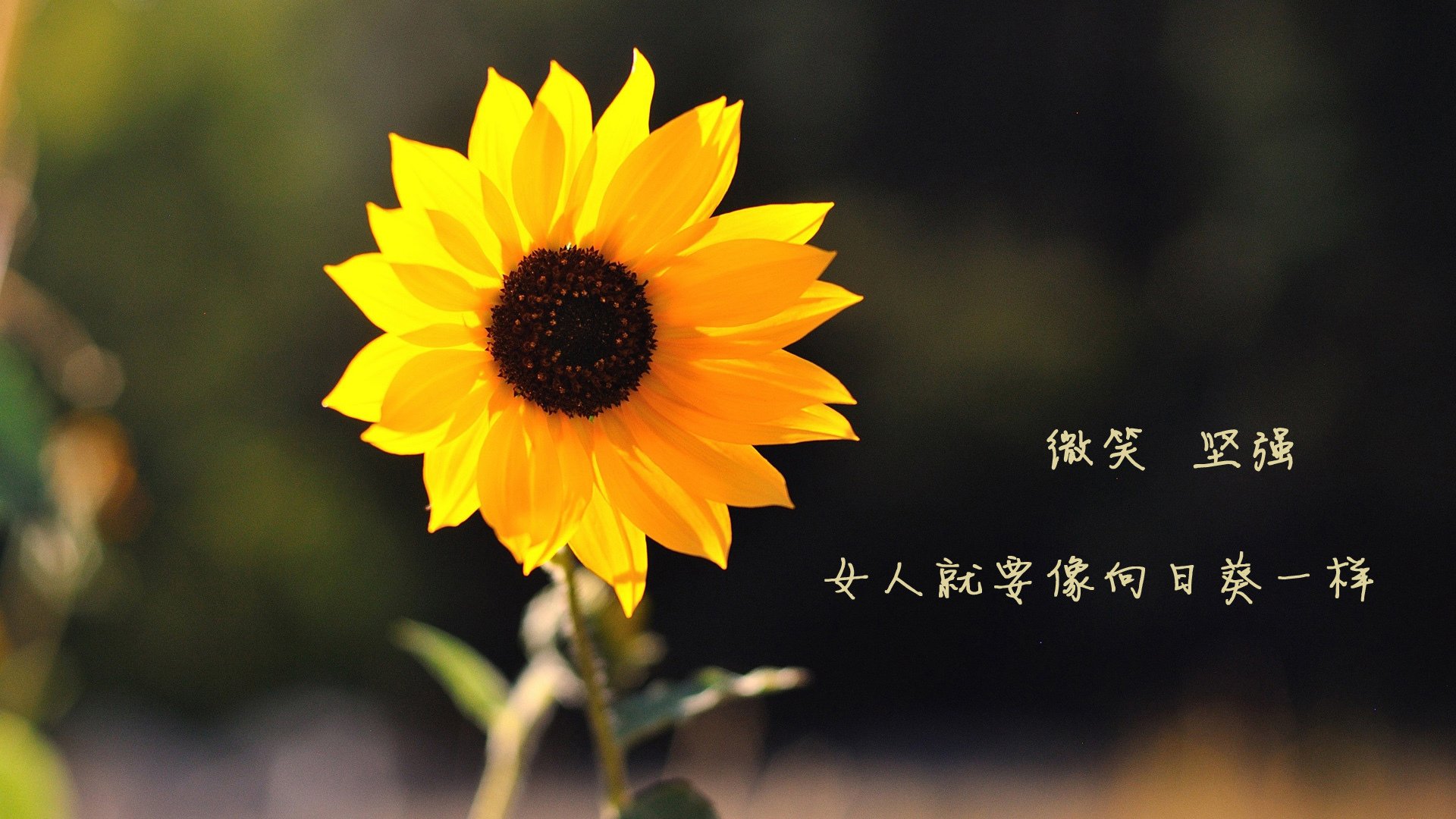 超越胜负，当法比尼奥接管比赛，一场胜利如何重置世界排名的游戏规则？