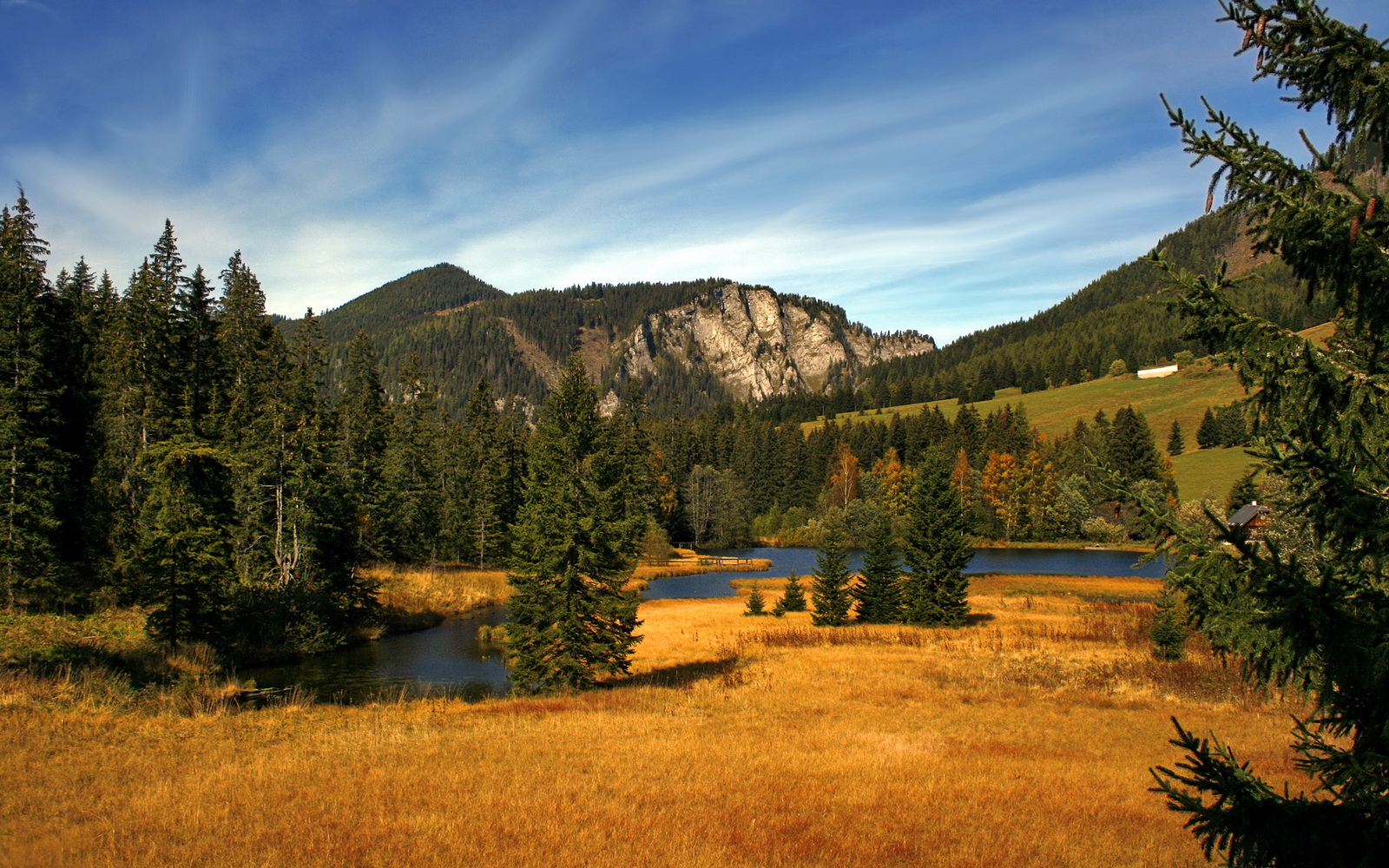 爱游戏官方-关键先生拉文末节15分杀死悬念！奇才掀翻三巨头篮网，更衣室响起MVP呼声