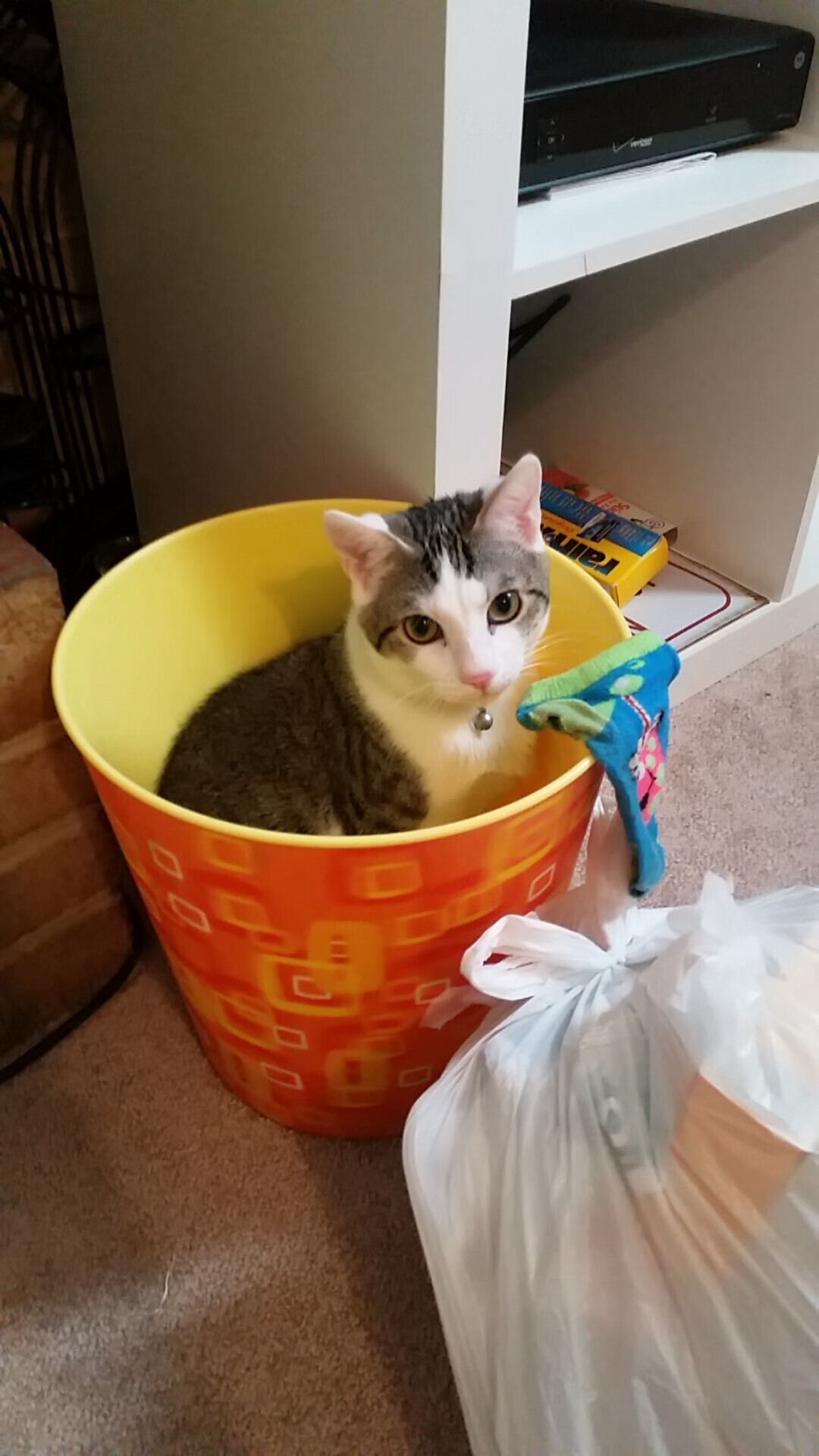 保罗存在感统治攻防,浙江队一波流卷走胜利