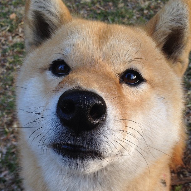 爱游戏下载-纽约风暴席卷钱塘江，奇才式打法如何撕碎浙江队不败金身？