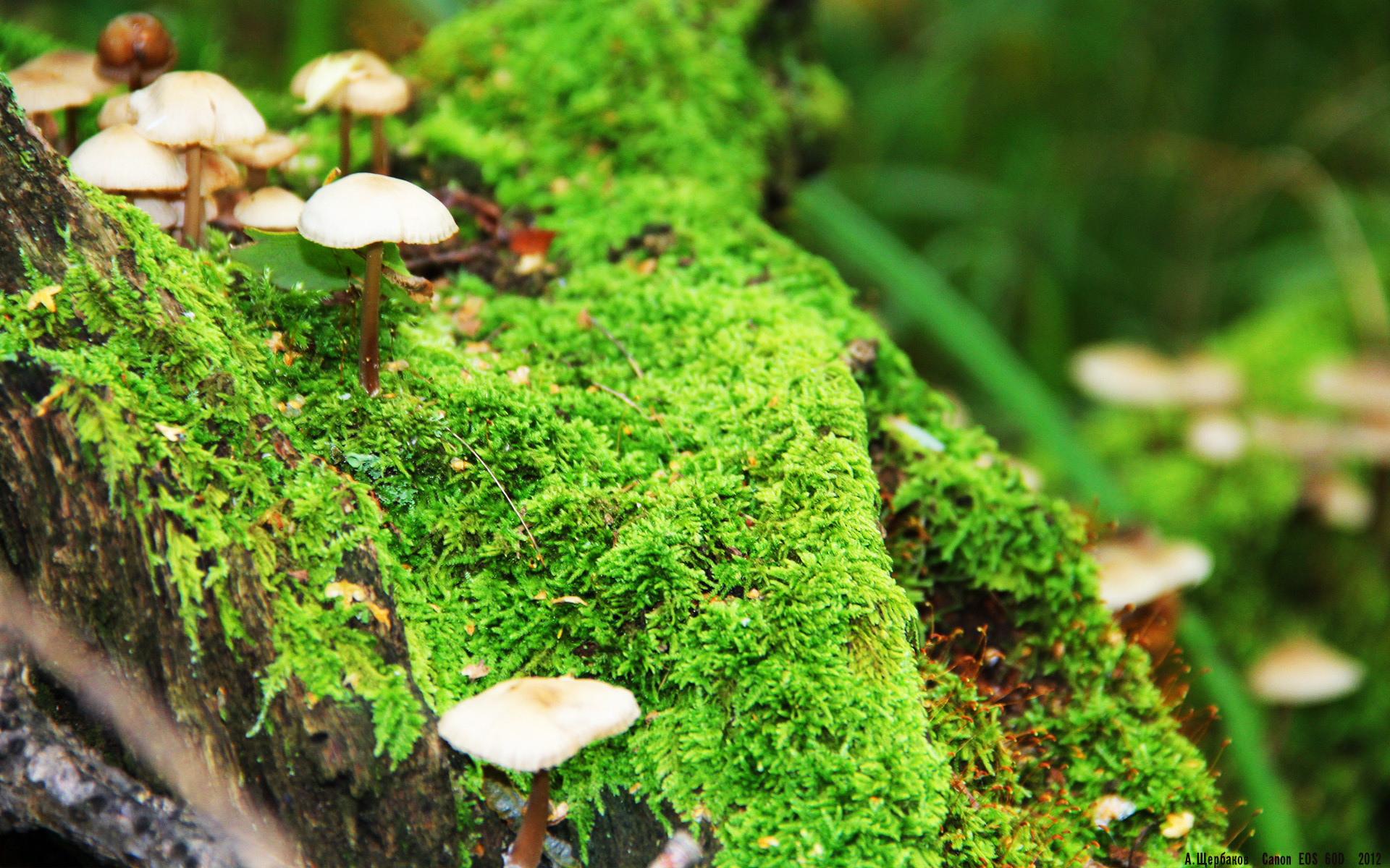 爱游戏入口-冷门之夜，葡式奇迹在老特拉福德上演，本泽马一剑封喉埋葬曼联