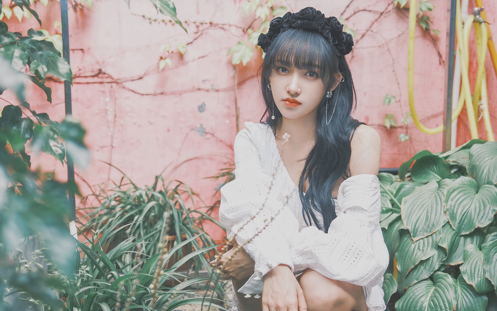 昨夜,狼群咬碎高山;那个男人,跑赢了时间