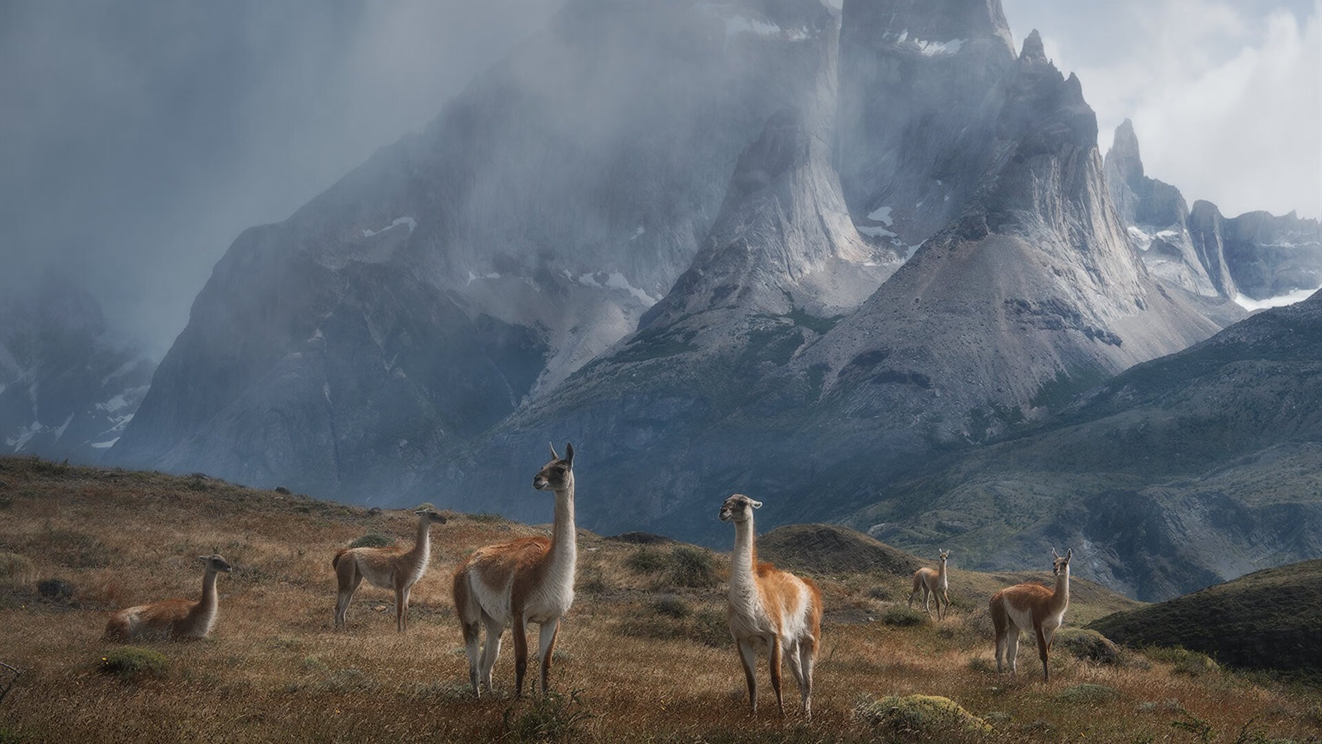 7分23秒，锡安让活塞主场听见风穿过空看台的声音