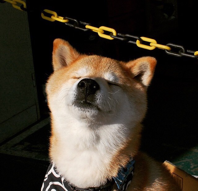 爱游戏下载-萨内神光一现撕裂黄黑城墙，摩纳哥单节风暴埋葬多特蒙德