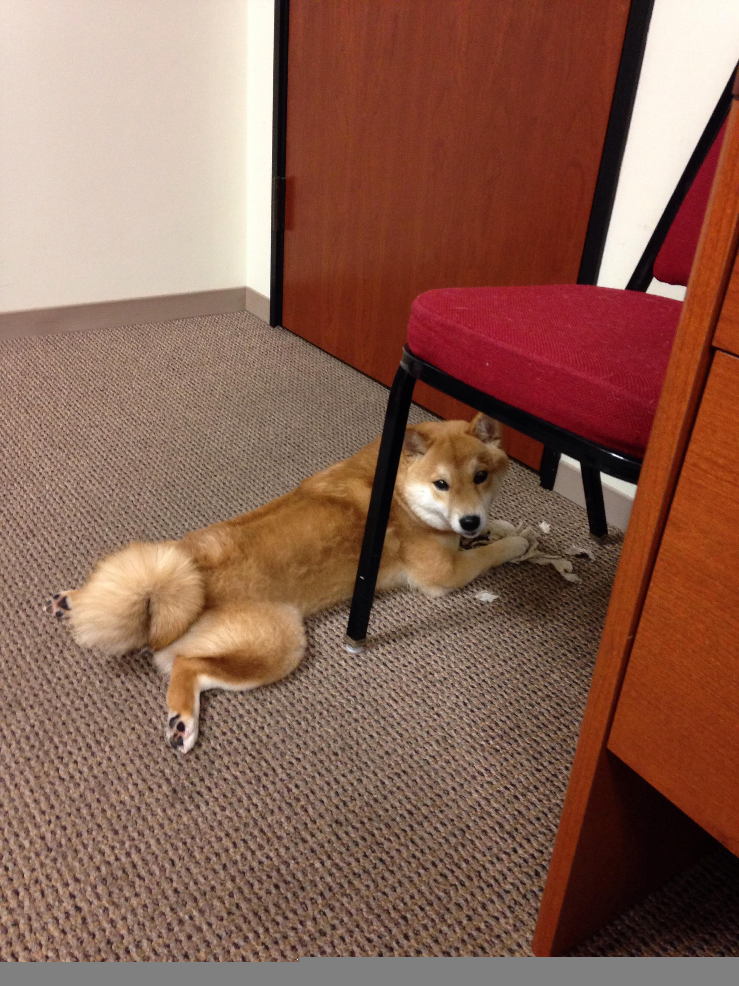 奇才绝尘，双关破局