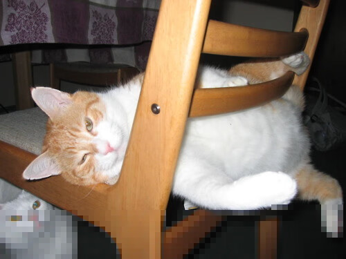 关键战之夜，杰伦格林像火箭一样发射