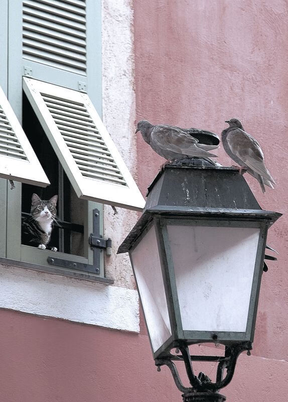 记忆解锁，一场横跨时光的NBA总决赛焦点战