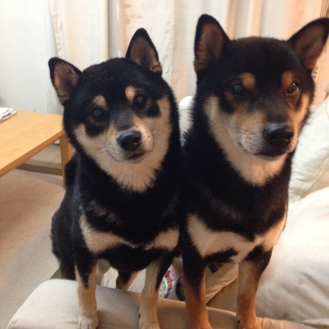 爱游戏体育-韧性与反转的艺术，从冰岛绝杀巴拉圭到国家德比的永恒启示